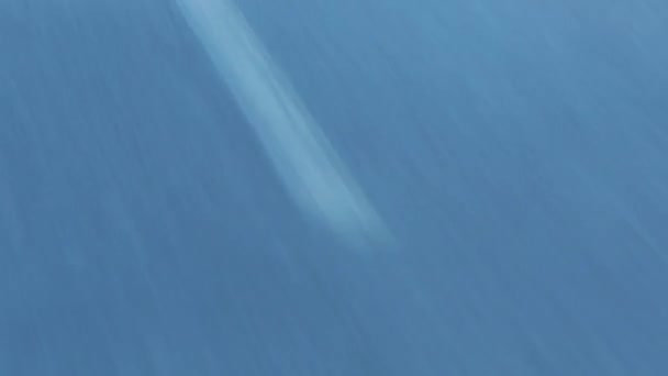 Route asphaltée avec marquage 