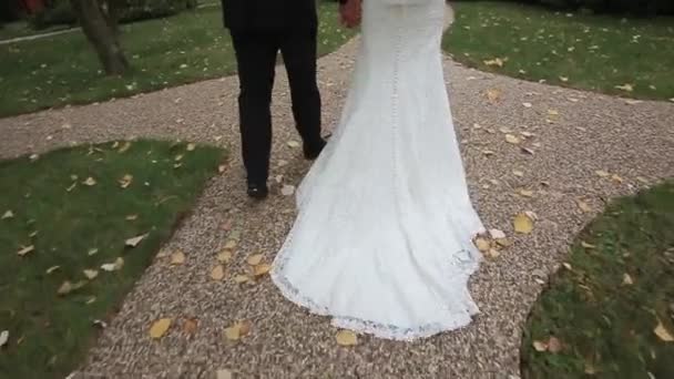 Menyasszony és a vőlegény is az úton. Lassú mozgás — Stock videók