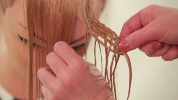 Intreccio di ciocche di capelli. Acconciatura da capelli. Chiudete. Bianco — Video Stock