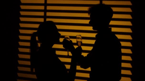 Um casal a beber vinho da irmandade dos copos de vinho. Silhueta. Fechar — Vídeo de Stock