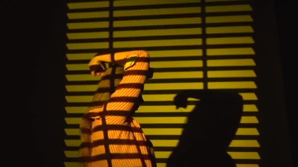 Woman dancing with her hands raised. Silhouette. Slow motion. Close up — ストック動画