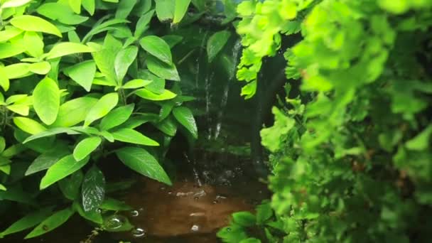 Artificial waterfall in tropical city garden. Vertical pan. Close up — Stock Video