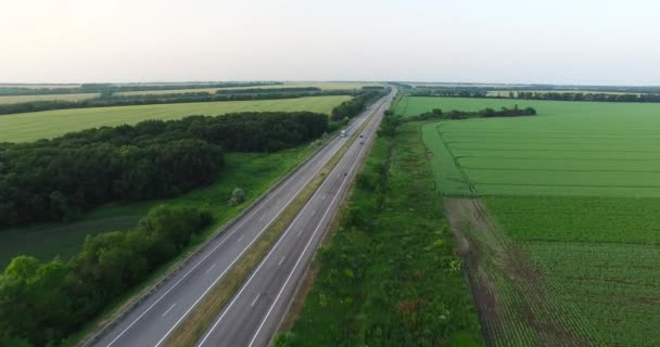 Coches que conducen a lo largo de una carretera rural en el bosque en un día de verano. Disparo aéreo — Vídeos de Stock