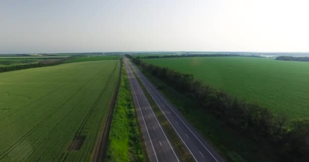 Road among fields, on a summer day. Overhead shot — Stock Video