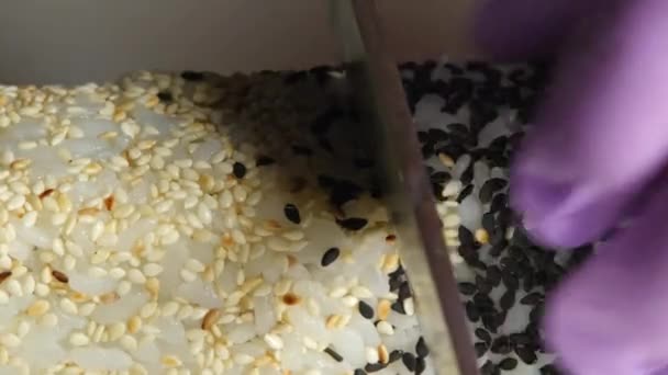 Cook snijdt rollen in sesamzaden in tweeën. Close-up — Stockvideo