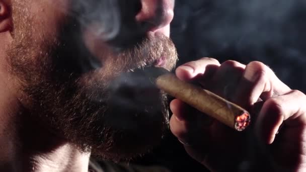 Detalj av en person röka cigarr. Svart. Närbild. Slow motion — Stockvideo