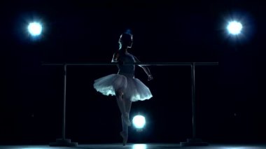 beyaz tutu klasik bale dansçısı bale barre de tek bacak üzerinde poz