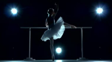 Mavi güzel kadın bale dansçısı, Balerin tutu giyiyor