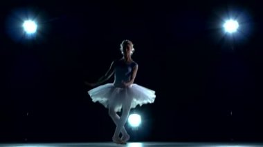 beyaz tutu bir Mavi bale dansçısı