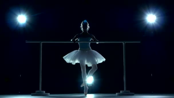 Bailarina de ballet clásica en tutú blanco posando en la barra de mango — Vídeo de stock
