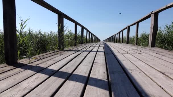 Ponte de madeira com grades. Dolly atirou — Vídeo de Stock