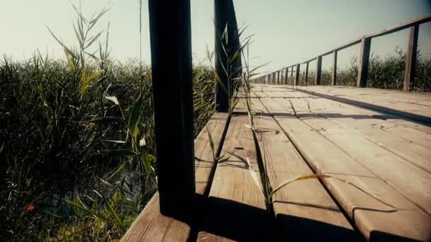 Ξύλινη γέφυρα πάνω από τον ποταμό. Καλάμια αναπτύσσονται γύρω από. Κουκλίτσα. Κοντινό πλάνο — Αρχείο Βίντεο