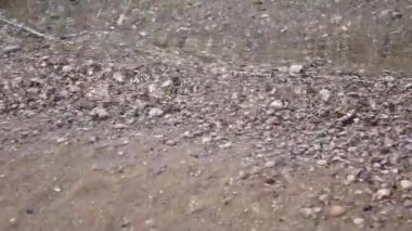 Dalgalar deniz kıyısı üzerinde. Ağır çekim. Yakın çekim