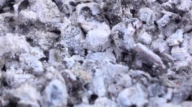 Siyah ve beyaz kömürleri