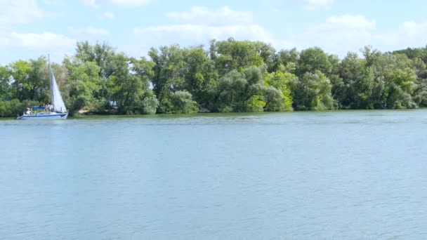 河在阳光明媚的天气 — 图库视频影像