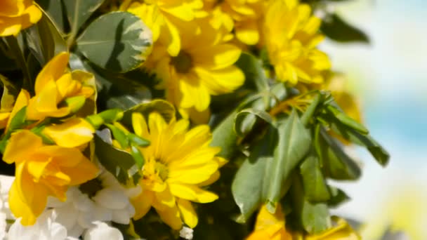 Flores amarillas y globos están en el patio — Vídeos de Stock