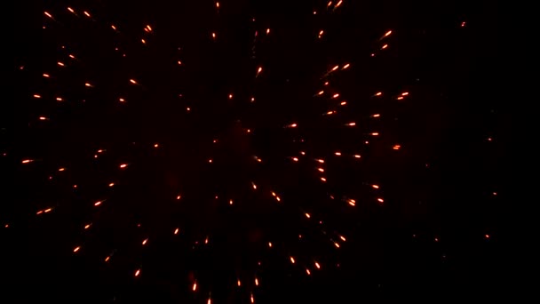 Fireworks avslutar festivalen — Stockvideo