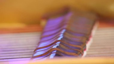 Dizeleri çarpıcı çekiç