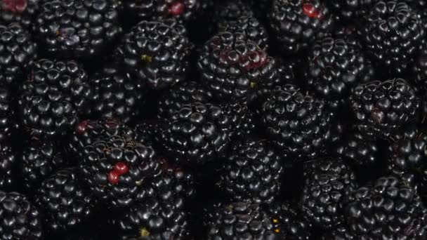 Moras frescas saludables — Vídeo de stock