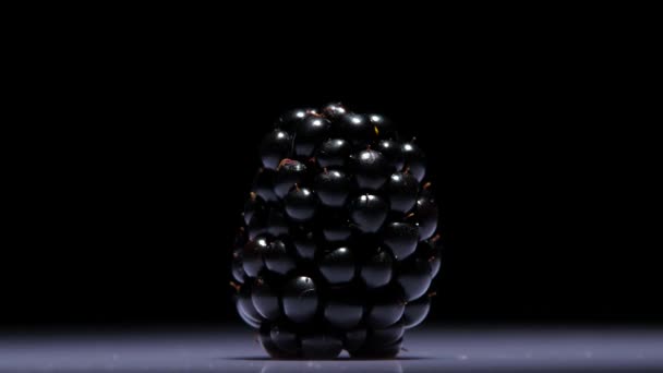 Čerstvé černá blackberry — Stock video