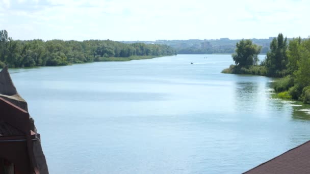 River in sunny summer day — Stock Video