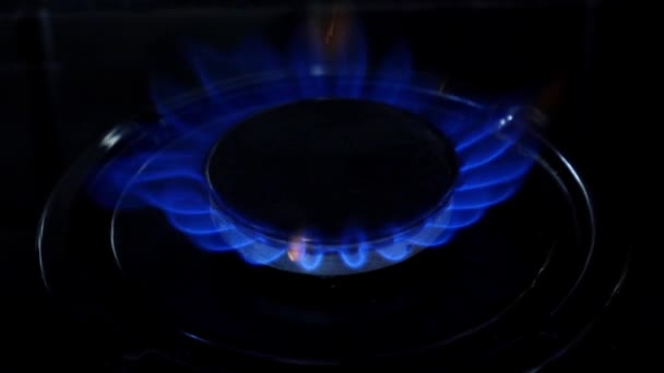 Gas burner flame. Close up. Slow motion — Stock Video