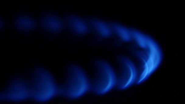 Blå lågan från gasbrännare — Stockvideo