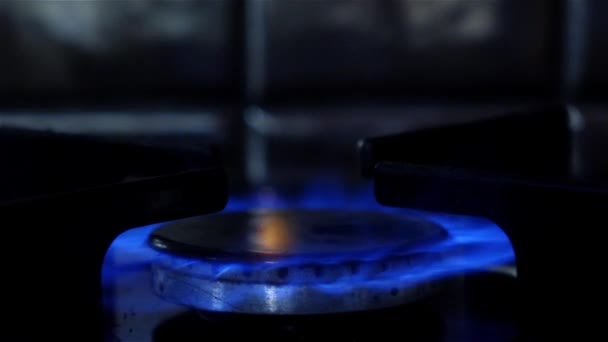 Blauwe vlam van een gasbrander — Stockvideo