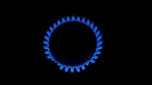 Niebieski płomień z palnika gazowego — Wideo stockowe