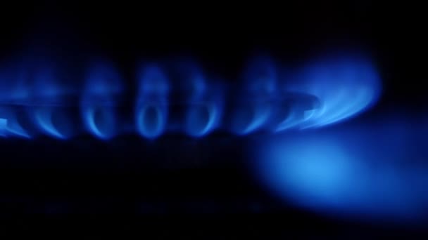 Flamme bleue du brûleur à gaz 