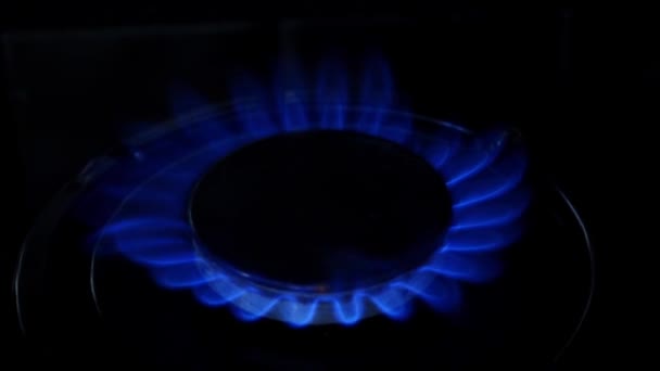 Flamme bleue du brûleur à gaz — Video