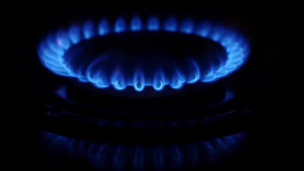 Blue flame from gas burner — Stock Video