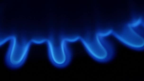 蓝色的火焰，从燃气燃烧器 — 图库视频影像