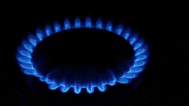Llama azul del quemador de gas — Vídeos de Stock