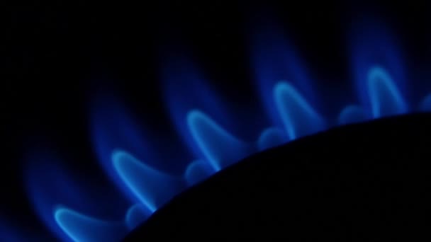 Blauwe vlam van een gasbrander — Stockvideo