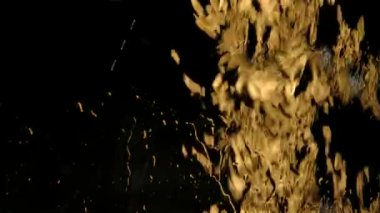 Şiddetli yağmur suyu, pencere camlarına karşı sifonu çeker ve siyah arka planda aşağı doğru akar. Güzel desenli arka plan, parlak sarı su damlaları yavaş çekimde, yakın çekim..