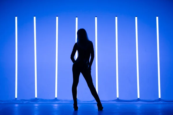 Silhuett av en smal sexig kvinna poserar medan du står i studion mot bakgrund av neonlampor med blå bakgrundsbelysning. Bakifrån. — Stockfoto
