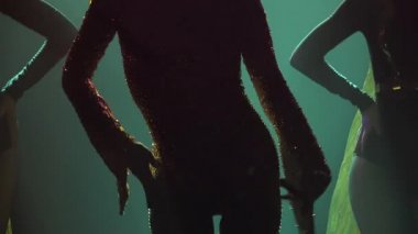 Antik Mısır kraliçesi kostümü giymiş çekici bir bayan dansçı tarafından sahnelenen tiyatro gösterisi. Siluetli bir kadın karanlıkta duman ve ışıkla dans ediyor. Kapat..