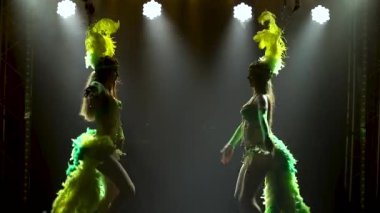 İki güzel zayıf kızın siluetleri mavi yeşil karnaval kostümleriyle dans ediyor. Tüylü kostümlü ve başlıklı dansçılar karanlık, arka ışıklandırılmış bir stüdyoda senkronize hareket ederler. Kapat..