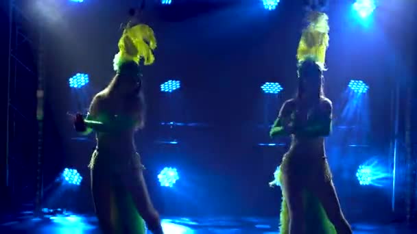 Silhuetter av kvinnliga dansare i avslöjande karnevalsdräkter och huvudbonader med fjädrar som dansar i en mörk studio med blått ljus. Lyxig teatralisk dansshow. Närbild. — Stockvideo