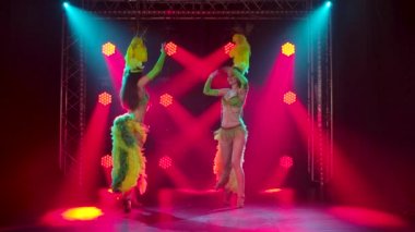 Karnaval partisinde Samba dansı yapan iki tutkulu genç kadın. Geleneksel kostümlü ve tüylü dansçılar arka planda kırmızı ışıklarla stüdyoda gösteri yapıyorlar. Yavaş çekim.