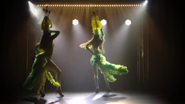 Silhouette of young attractive women in exotic costume with feathers on their heads dances. Two dancers in carnival costumes move in slow motion against the background of bright lights in the studio. — Stock Video