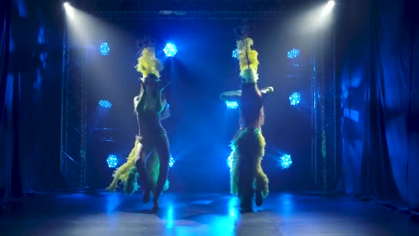 Silhouette di due appassionate giovani donne che ballano musica samba a una festa di carnevale. Ballerini in costumi tradizionali e copricapi di piume si esibiscono in studio con luci blu. Rallentatore. — Video Stock