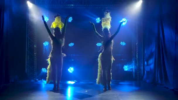 Silhouet van twee gepassioneerde jonge vrouwen die sambamuziek dansen op een carnavalsfeest. Dansers in traditionele kostuums en veren hoofddeksels treden op in de studio met blauwe lichten. Langzame beweging. — Stockvideo