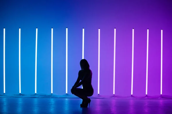 Силуэт очаровательной сексуальной женщины, сидящей на высоких каблуках в красочной студии с неоновыми лампами. — стоковое фото