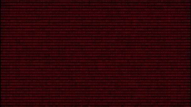 Digitalt nummer bakgrund med binär kod. Vicka nummer och röda siffror rör sig på skärmen. Begreppet teknik, tillämpad praktisk, numerisk siffra, kodprogrammering, säkerhetskommunikation. — Stockvideo