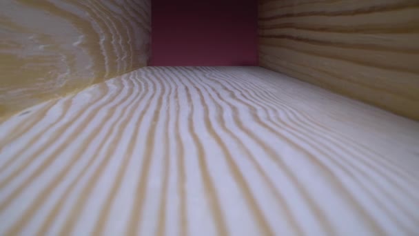 Superficie del legno filmati stock texture. Uno scatto ravvicinato di un pezzo di legno che mostra una struttura dettagliata delle venature. — Video Stock