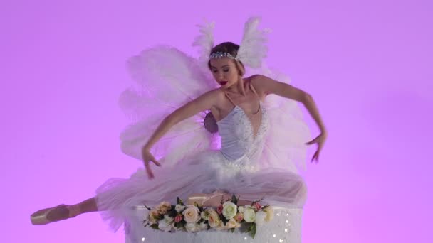 Λεπτή θηλυκή μπαλαρίνα ντυμένη σαν λευκός κύκνος ποζάρει στην κορυφή ενός κέικ διακοσμημένου με λουλούδια. Η ξανθιά κινείται με χάρη σε αργή κίνηση σε ροζ φόντο στο στούντιο. Κλείσε.. — Αρχείο Βίντεο
