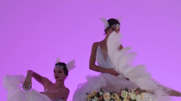 Delicate vrouwelijke ballerina 's in een wit zwanenkostuum poseren op de top van een taart versierd met bloemen. Twee jonge vrouwen bewegen sierlijk in slow motion op een roze achtergrond in de studio. Sluiten.. — Stockvideo