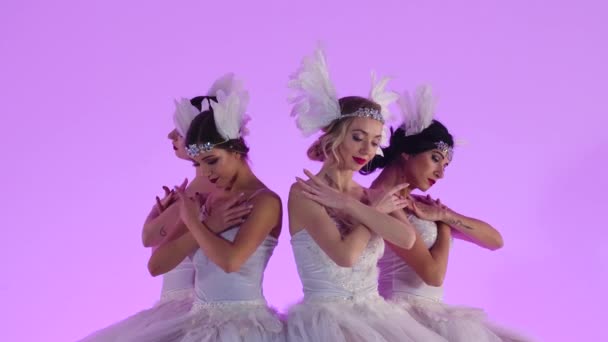 Büyüleyici kadın balerinler beyaz bir kuğu kostümüyle dans ediyorlar. Bir grup genç kadın stüdyodaki pembe arka planda ağır çekimde incelikle hareket ediyor. Şenlikli tiyatro dans gösterisi. Kapat.. — Stok video
